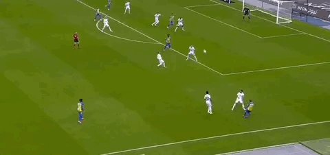 1673467956369031212.gif IMG_5368.gif